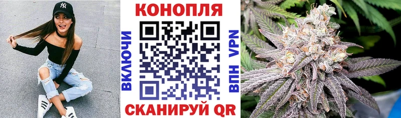 Где можно купить наркотики Гатчина Галлюциногенные грибы  Кокаин  МЕФ  Канабис  Кодеин  Alpha-PVP 