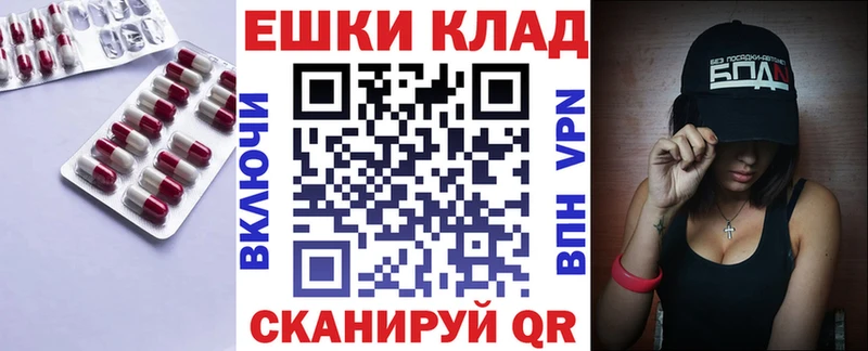 Ecstasy бентли  hydra ссылка  Гатчина 