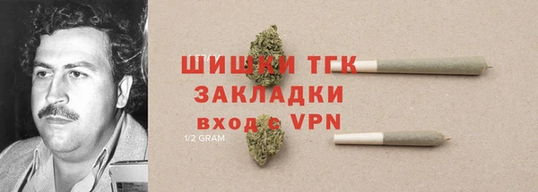 PSILOCYBIN Баксан