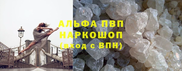 PSILOCYBIN Баксан