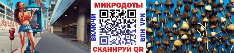 Псилоцибиновые грибы прущие грибы  MEGA вход  Гатчина 